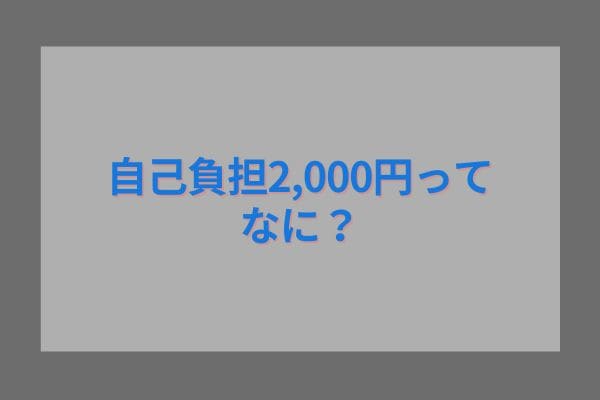 自己負担2,000円ってなに？